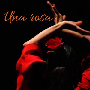 Una rosa